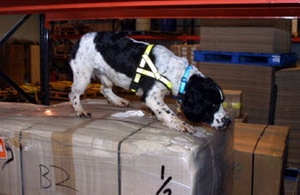 s300_sniffer_dog_cargo__002_