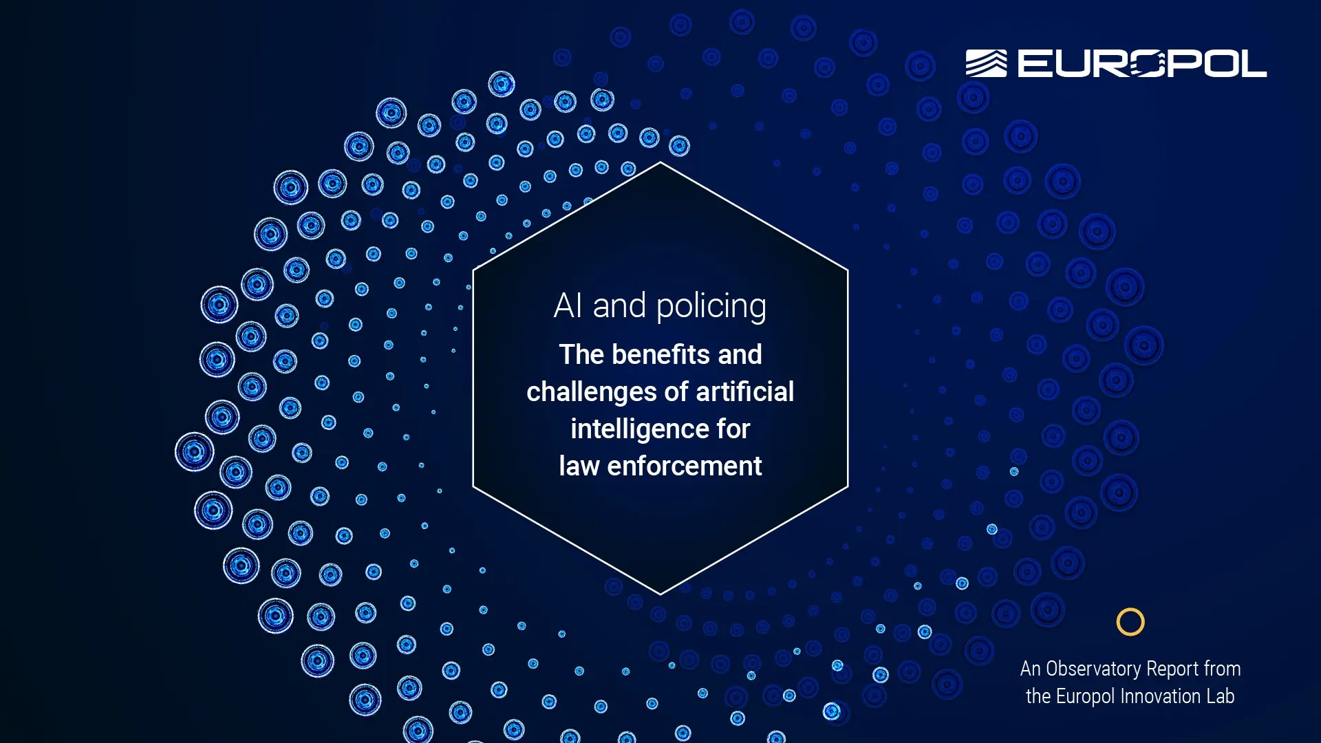 AI SECURITY REPORT