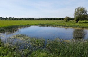 Gloucestire brook