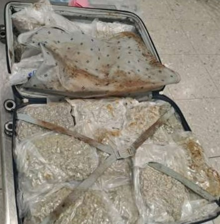 Suitcase of cannabis