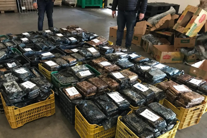 DRUG TRAFFICKERS
