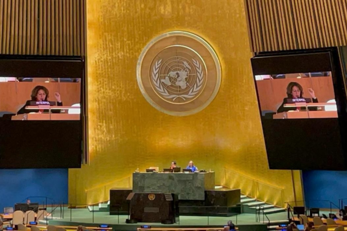 INTERPOL SPECIAL REP